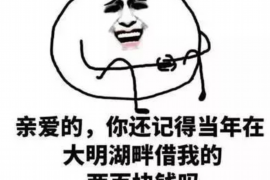 东山区债务清欠服务