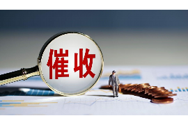 东山区贷款清欠服务